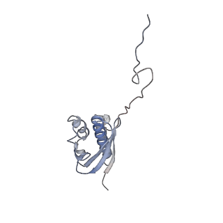 10262_6snt_Q_v1-2
Yeast 80S ribosome stalled on SDD1 mRNA.