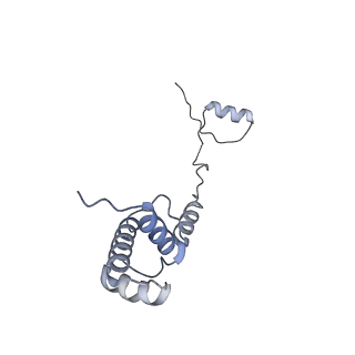 10262_6snt_R_v1-2
Yeast 80S ribosome stalled on SDD1 mRNA.