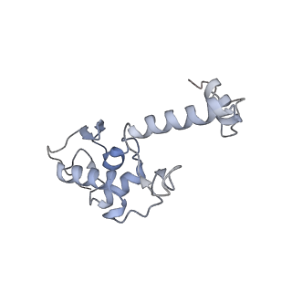 10262_6snt_S_v1-2
Yeast 80S ribosome stalled on SDD1 mRNA.
