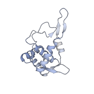 10262_6snt_T_v1-2
Yeast 80S ribosome stalled on SDD1 mRNA.