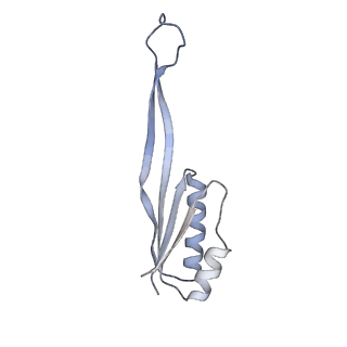 10262_6snt_U_v1-2
Yeast 80S ribosome stalled on SDD1 mRNA.