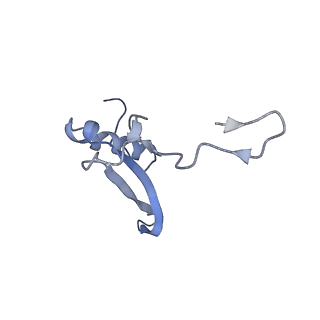 10262_6snt_V_v1-2
Yeast 80S ribosome stalled on SDD1 mRNA.