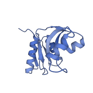 10262_6snt_W_v1-2
Yeast 80S ribosome stalled on SDD1 mRNA.