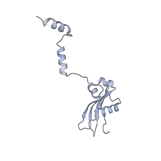 10262_6snt_Y_v1-2
Yeast 80S ribosome stalled on SDD1 mRNA.
