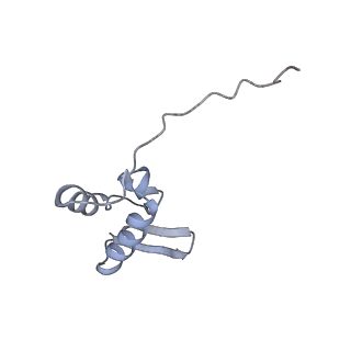 10262_6snt_Z_v1-2
Yeast 80S ribosome stalled on SDD1 mRNA.