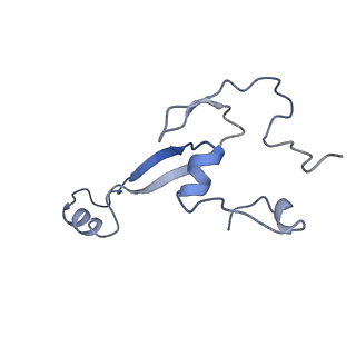 10262_6snt_a_v1-2
Yeast 80S ribosome stalled on SDD1 mRNA.