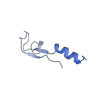 10262_6snt_ad_v1-2
Yeast 80S ribosome stalled on SDD1 mRNA.