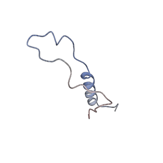 10262_6snt_ae_v1-2
Yeast 80S ribosome stalled on SDD1 mRNA.