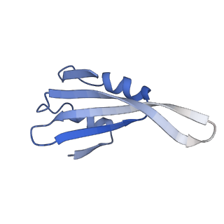 10262_6snt_af_v1-2
Yeast 80S ribosome stalled on SDD1 mRNA.