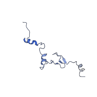 10262_6snt_ag_v1-2
Yeast 80S ribosome stalled on SDD1 mRNA.