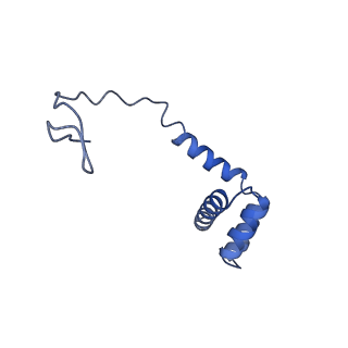 10262_6snt_ah_v1-2
Yeast 80S ribosome stalled on SDD1 mRNA.
