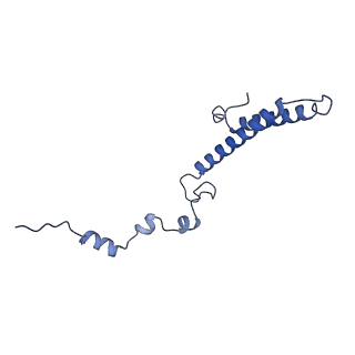 10262_6snt_ai_v1-2
Yeast 80S ribosome stalled on SDD1 mRNA.