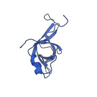 10262_6snt_ak_v1-2
Yeast 80S ribosome stalled on SDD1 mRNA.