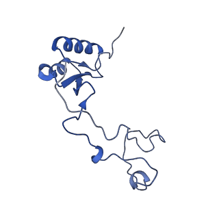 10262_6snt_al_v1-2
Yeast 80S ribosome stalled on SDD1 mRNA.