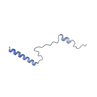 10262_6snt_ao_v1-2
Yeast 80S ribosome stalled on SDD1 mRNA.
