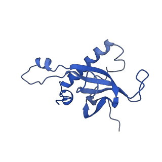 10262_6snt_aq_v1-2
Yeast 80S ribosome stalled on SDD1 mRNA.