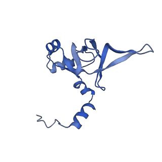 10262_6snt_ar_v1-2
Yeast 80S ribosome stalled on SDD1 mRNA.