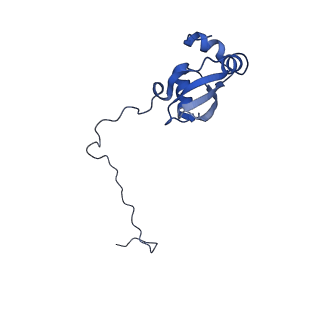 10262_6snt_as_v1-2
Yeast 80S ribosome stalled on SDD1 mRNA.