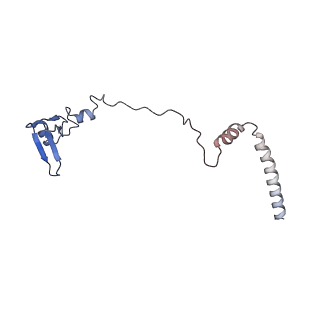 10262_6snt_at_v1-2
Yeast 80S ribosome stalled on SDD1 mRNA.