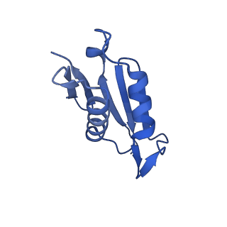 10262_6snt_au_v1-2
Yeast 80S ribosome stalled on SDD1 mRNA.