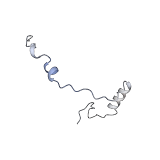 10262_6snt_e_v1-2
Yeast 80S ribosome stalled on SDD1 mRNA.