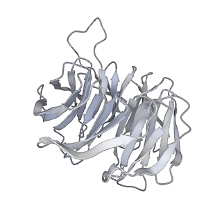 10262_6snt_g_v1-2
Yeast 80S ribosome stalled on SDD1 mRNA.