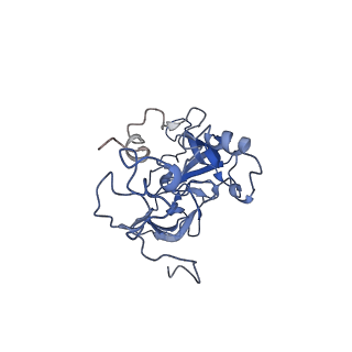 10262_6snt_h_v1-2
Yeast 80S ribosome stalled on SDD1 mRNA.