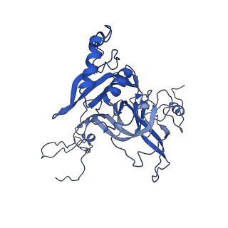 10262_6snt_i_v1-2
Yeast 80S ribosome stalled on SDD1 mRNA.