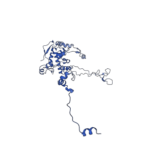 10262_6snt_j_v1-2
Yeast 80S ribosome stalled on SDD1 mRNA.
