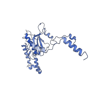 10262_6snt_k_v1-2
Yeast 80S ribosome stalled on SDD1 mRNA.