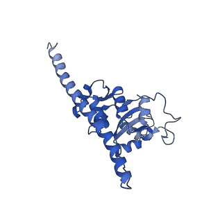 10262_6snt_m_v1-2
Yeast 80S ribosome stalled on SDD1 mRNA.