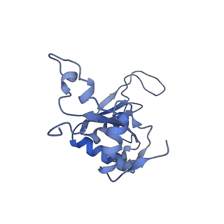 10262_6snt_q_v1-2
Yeast 80S ribosome stalled on SDD1 mRNA.
