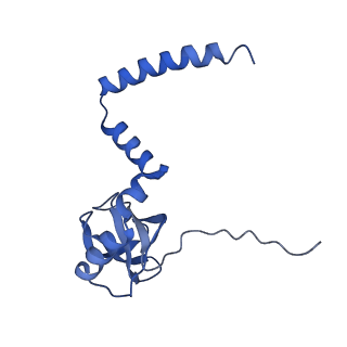 10262_6snt_s_v1-2
Yeast 80S ribosome stalled on SDD1 mRNA.