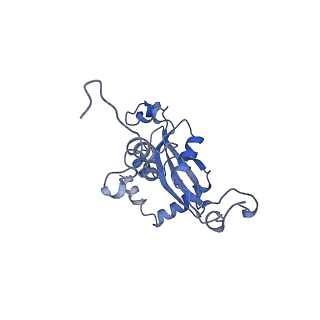 10262_6snt_t_v1-2
Yeast 80S ribosome stalled on SDD1 mRNA.