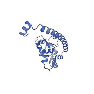 10262_6snt_u_v1-2
Yeast 80S ribosome stalled on SDD1 mRNA.