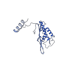 10262_6snt_v_v1-2
Yeast 80S ribosome stalled on SDD1 mRNA.