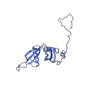 10262_6snt_y_v1-2
Yeast 80S ribosome stalled on SDD1 mRNA.