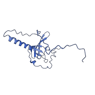 10262_6snt_z_v1-2
Yeast 80S ribosome stalled on SDD1 mRNA.