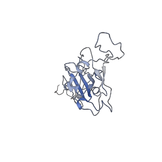 25209_7sn2_A_v1-2
Structure of human SARS-CoV-2 neutralizing antibody C1C-A3 Fab