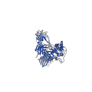 25210_7sn3_B_v1-2
Structure of human SARS-CoV-2 spike glycoprotein trimer bound by neutralizing antibody C1C-A3 Fab (variable region)