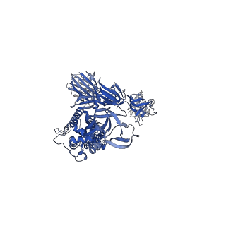 25210_7sn3_C_v1-2
Structure of human SARS-CoV-2 spike glycoprotein trimer bound by neutralizing antibody C1C-A3 Fab (variable region)