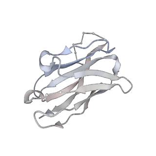 25210_7sn3_F_v1-2
Structure of human SARS-CoV-2 spike glycoprotein trimer bound by neutralizing antibody C1C-A3 Fab (variable region)