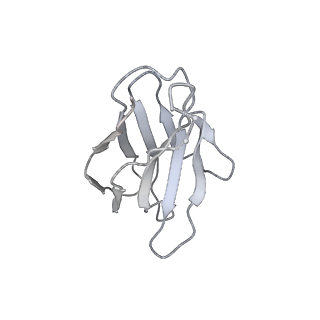 25210_7sn3_G_v1-2
Structure of human SARS-CoV-2 spike glycoprotein trimer bound by neutralizing antibody C1C-A3 Fab (variable region)