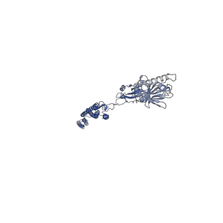 25211_7sn4_C_v1-1
Cryo-EM structure of the enterohemorrhagic E. coli O157:H7 flagellar filament