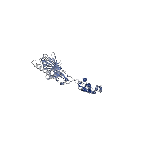 25211_7sn4_D_v1-1
Cryo-EM structure of the enterohemorrhagic E. coli O157:H7 flagellar filament