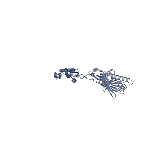 25211_7sn4_E_v1-1
Cryo-EM structure of the enterohemorrhagic E. coli O157:H7 flagellar filament