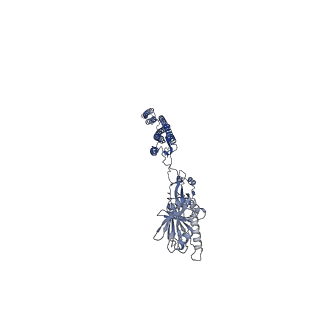 25211_7sn4_F_v1-1
Cryo-EM structure of the enterohemorrhagic E. coli O157:H7 flagellar filament