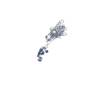 25211_7sn4_G_v1-1
Cryo-EM structure of the enterohemorrhagic E. coli O157:H7 flagellar filament