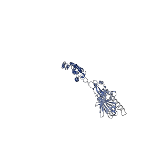 25211_7sn4_I_v1-1
Cryo-EM structure of the enterohemorrhagic E. coli O157:H7 flagellar filament
