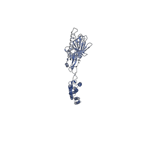 25211_7sn4_J_v1-1
Cryo-EM structure of the enterohemorrhagic E. coli O157:H7 flagellar filament